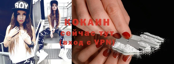 гидра Бронницы