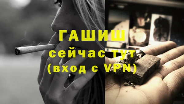 крисы Бородино
