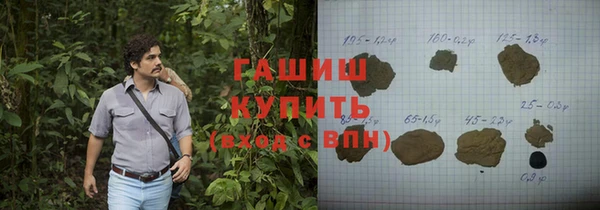 крисы Бородино