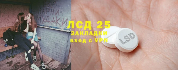 гидра Бронницы