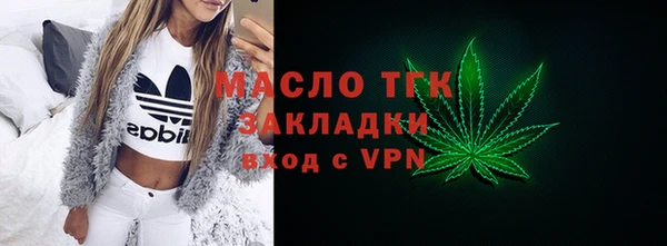 крисы Бородино