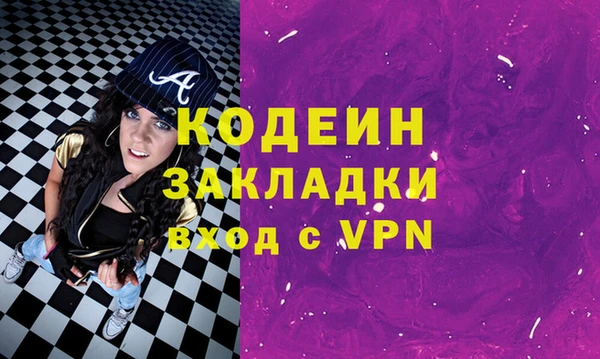 крисы Бородино