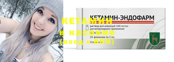 крисы Бородино