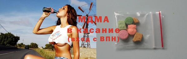 крисы Бородино
