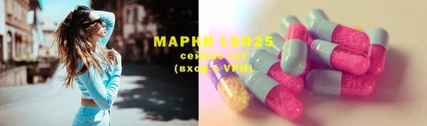 тгк Михайлов