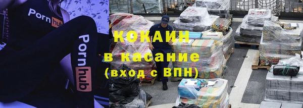 гидра Бронницы