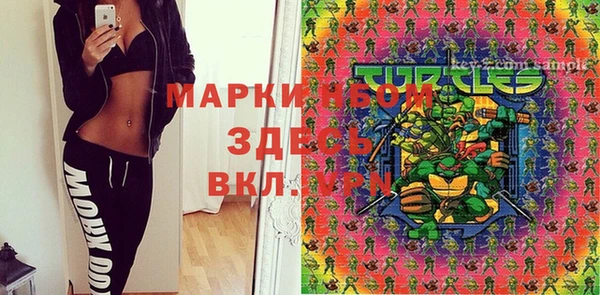 гидра Бронницы