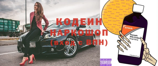 крисы Бородино