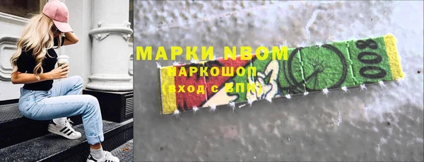 крисы Бородино