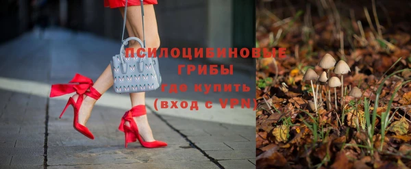 крисы Бородино