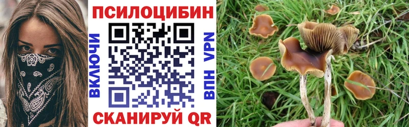 ссылка на мегу рабочий сайт  Сосногорск  Псилоцибиновые грибы Magic Shrooms 